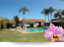 oftalmología miopia